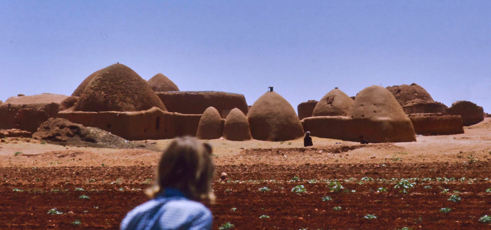 Damascus - Aleppo 1975